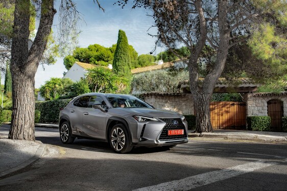 2019 UX 250h