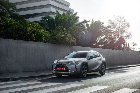 2019 UX 250h