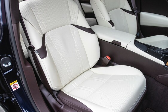 Lexus ES300 - local