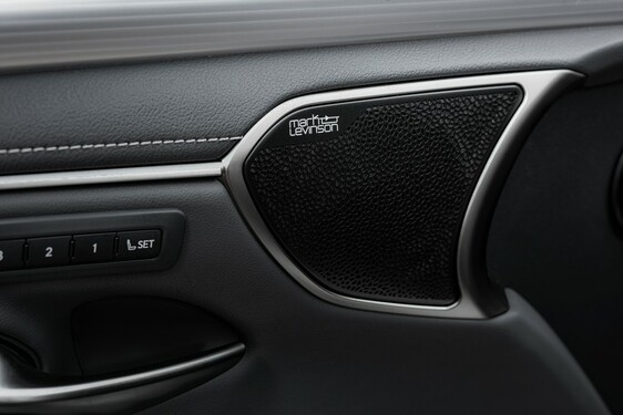 ES 300h Sonic Titanium