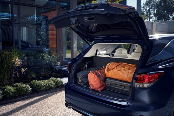2020 Lexus RX