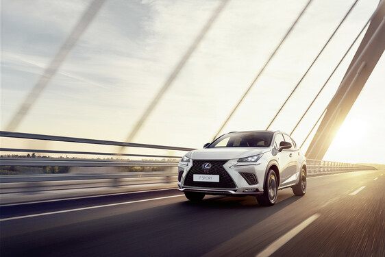 2018 NX 300h