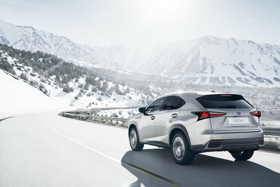 2018 NX 300h