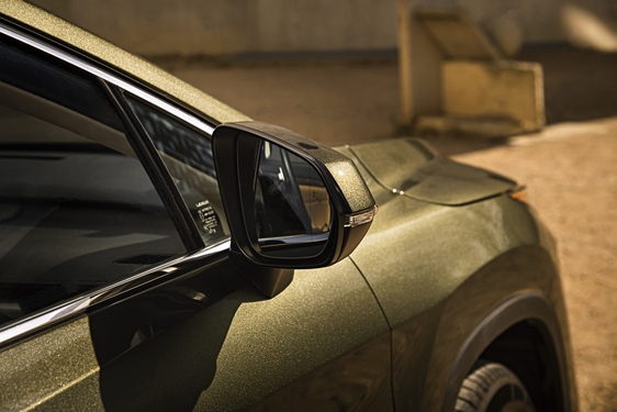 Lexus RX 450h Green - local