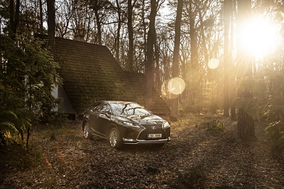 Lexus RX 450h Green - local