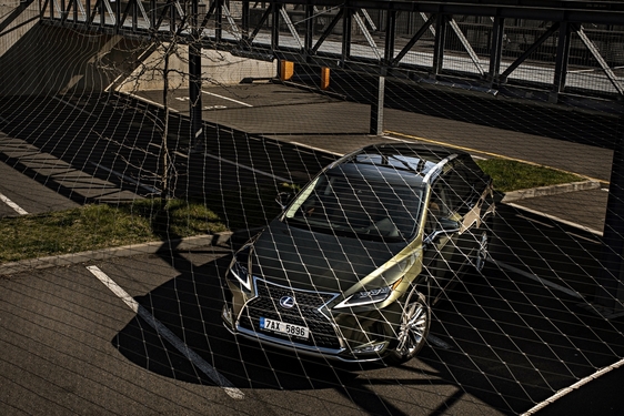 Lexus RX 450h Green - local