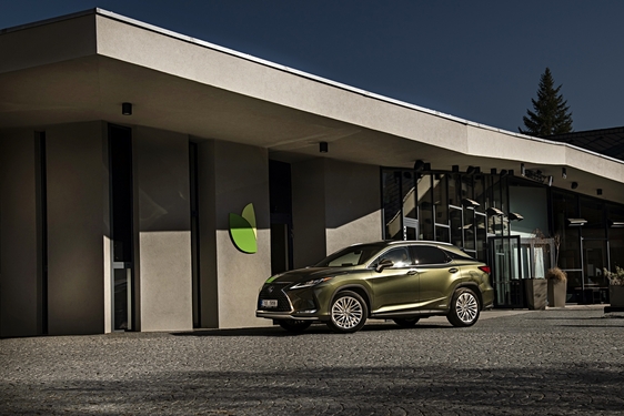 Lexus RX 450h Green - local