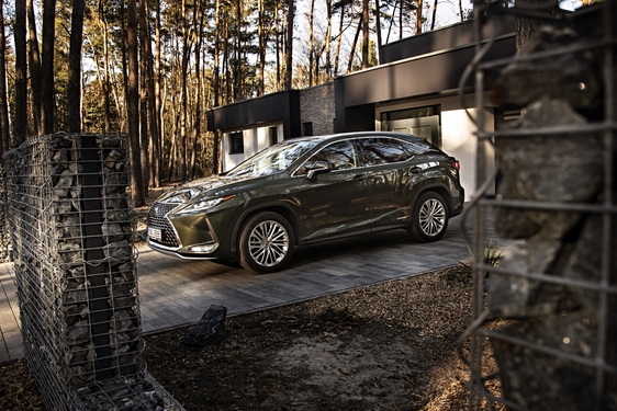 Lexus RX 450h Green - local