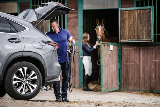 Lexus NX 300h - local