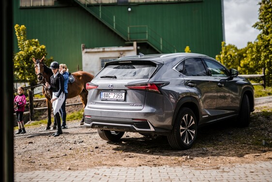 Lexus NX 300h - local