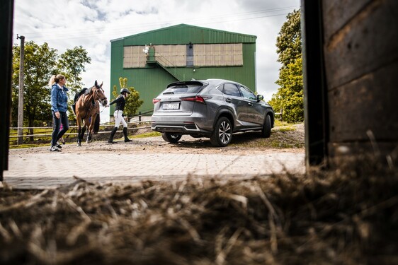 Lexus NX 300h - local