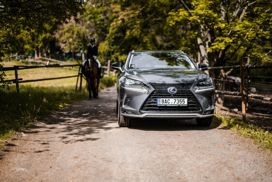 Lexus NX 300h - local