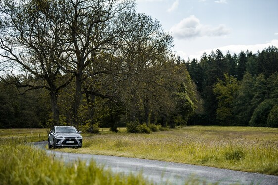 Lexus NX 300h - local