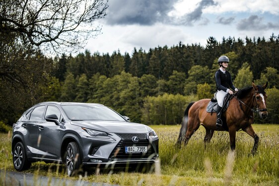 Lexus NX 300h - local