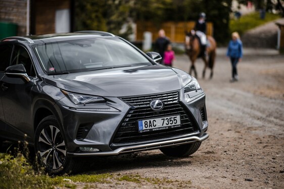 Lexus NX 300h - local