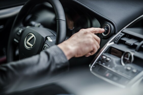 Lexus NX 300h - local