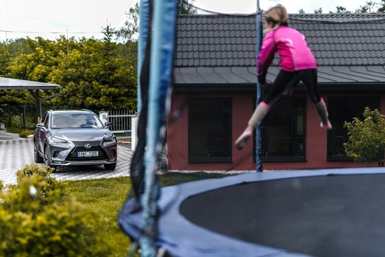 Lexus NX 300h - local