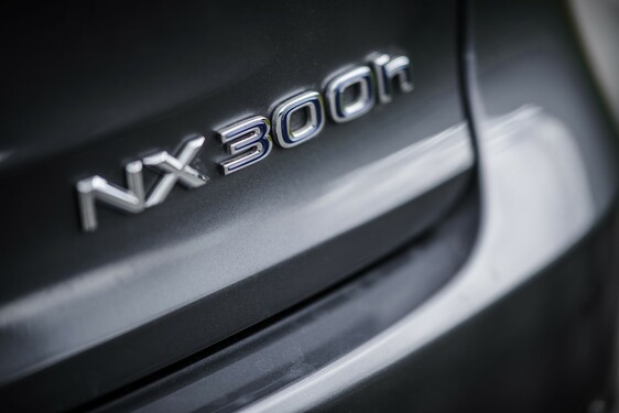 Lexus NX 300h - local
