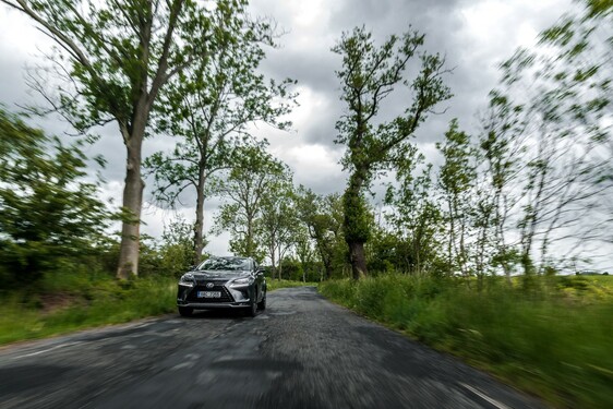 Lexus NX 300h - local