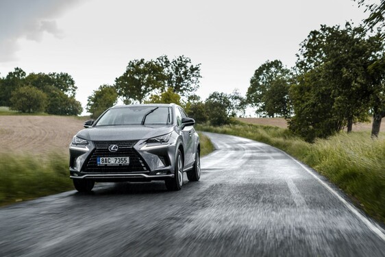 Lexus NX 300h - local