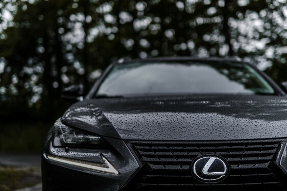 Lexus NX 300h - local