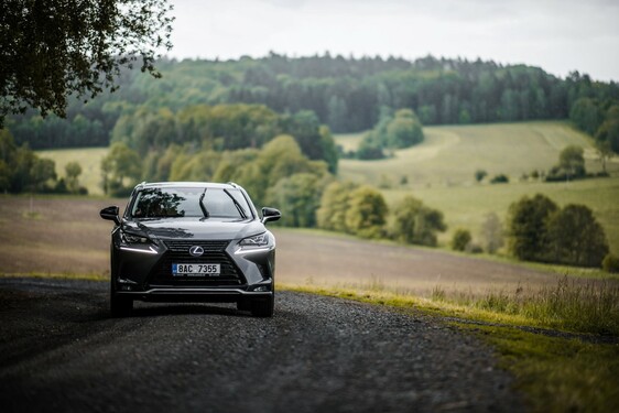 Lexus NX 300h - local