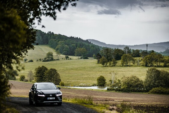 Lexus NX 300h - local
