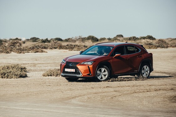 Kypr Lexus UX 