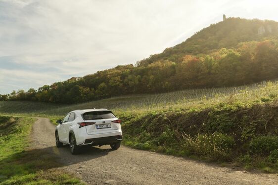 POČESKU - JIŽNÍ MORAVA