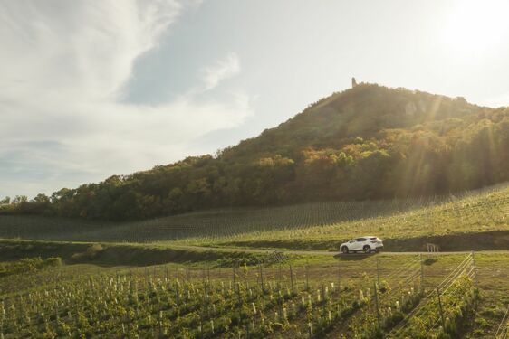 POČESKU - JIŽNÍ MORAVA