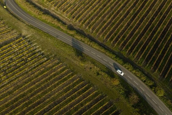 POČESKU - JIŽNÍ MORAVA