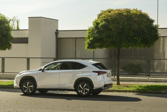 POČESKU - JIŽNÍ MORAVA