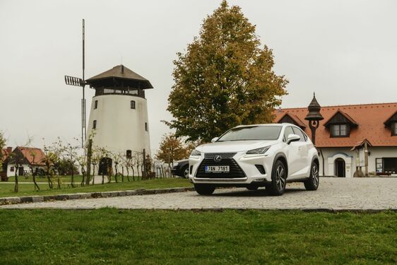 POČESKU - JIŽNÍ MORAVA