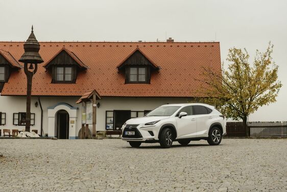 POČESKU - JIŽNÍ MORAVA