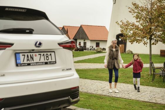 POČESKU - JIŽNÍ MORAVA