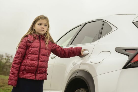 POČESKU - JIŽNÍ MORAVA