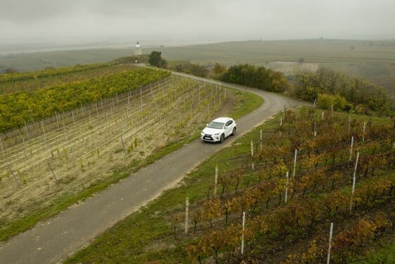 POČESKU - JIŽNÍ MORAVA