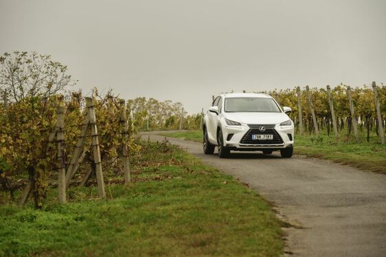 POČESKU - JIŽNÍ MORAVA