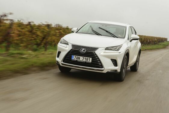 POČESKU - JIŽNÍ MORAVA