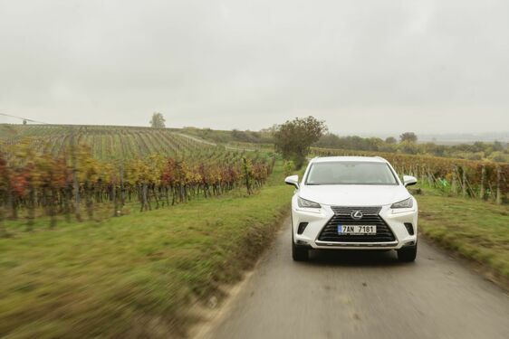 POČESKU - JIŽNÍ MORAVA