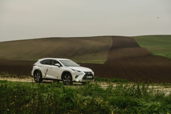 POČESKU - JIŽNÍ MORAVA