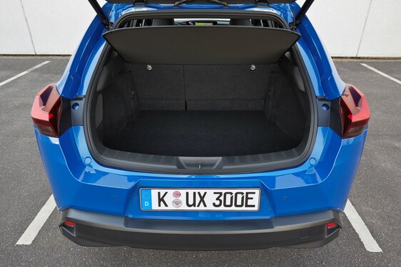 UX 300e 2020