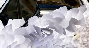 UMĚLCI PROMĚNILI LEXUS UX V KVĚTINOVOU ZAHRADU