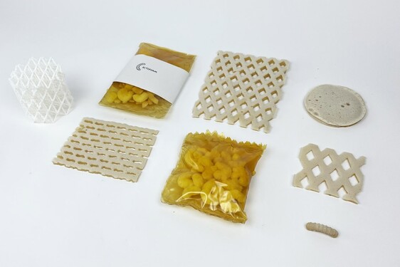 CHITOFOAM BY CHARLOTTE BÖHNING & MARY LEMPRES