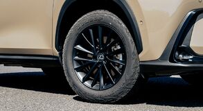 Lexus NX 2022