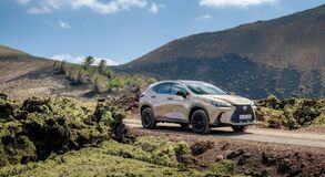Lexus NX 2022