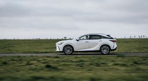 Lexus RX - local