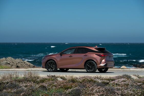 Lexus RX 500h