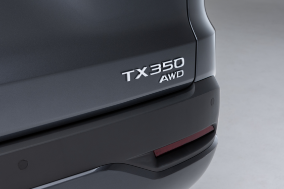 TX 2024