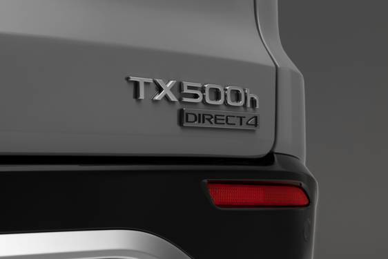 TX 2024